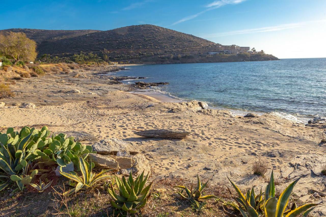 Karystos Villas Εξωτερικό φωτογραφία